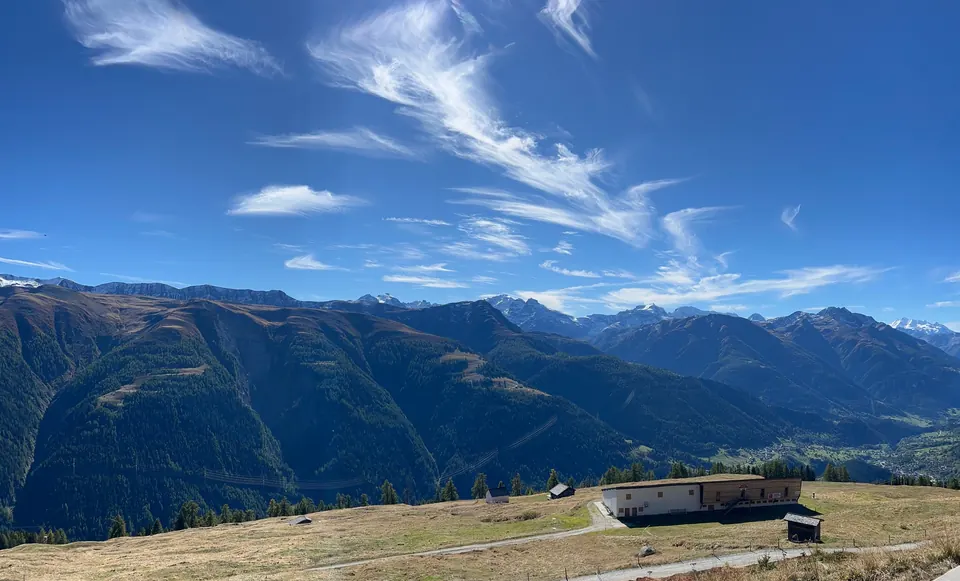 Alpweide mit Bergpanorama