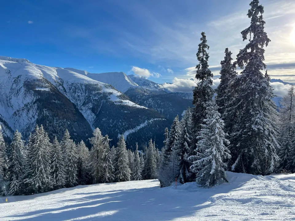 Verschneiter Wald an der Piste